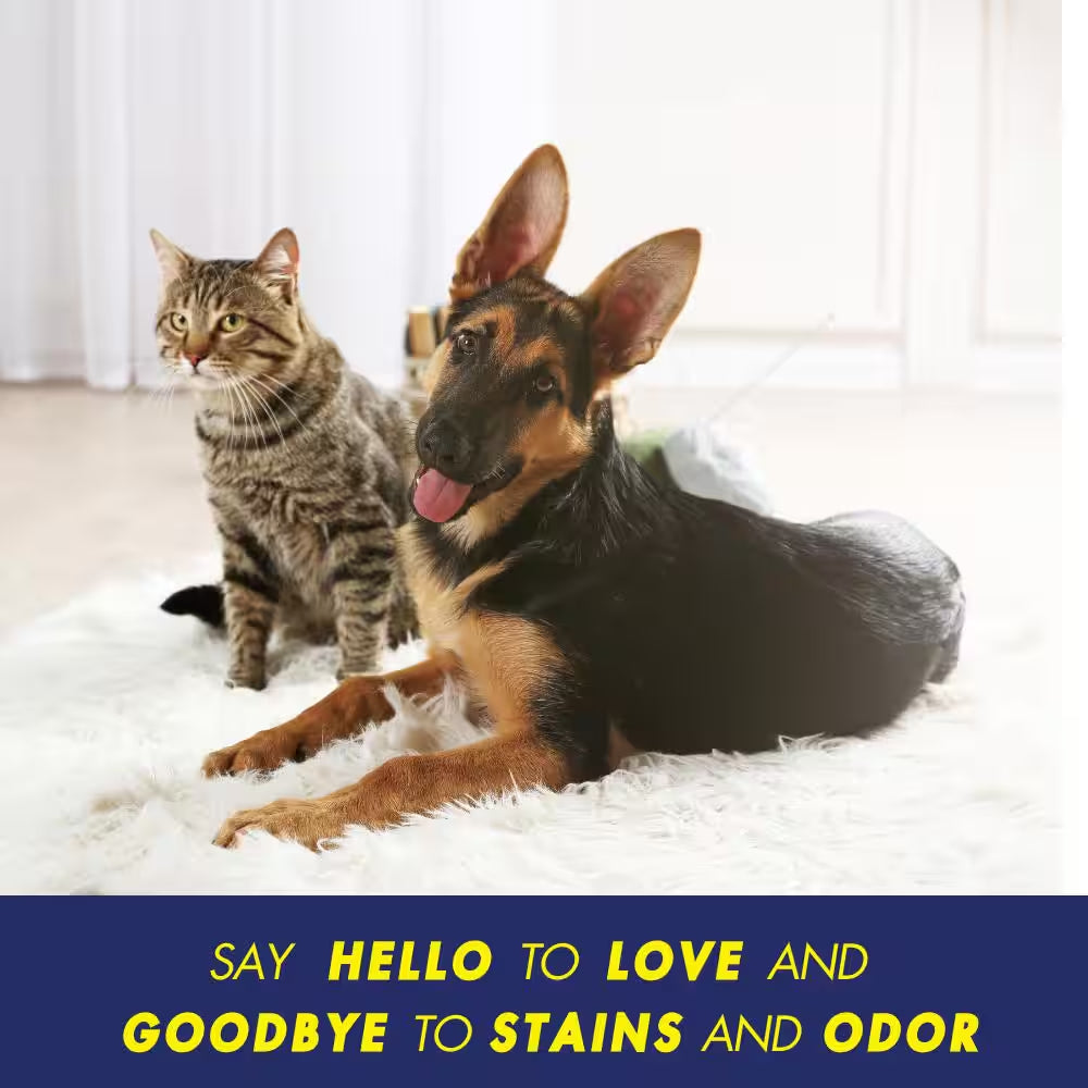 32 Oz. Pet Stain and Odor Eliminator Spray (6-Pack)