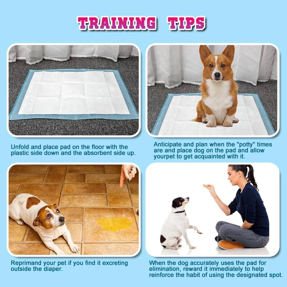 150 Count Medium ( M 30" X 36") Super Absorbent Dog and Puppy Training Pads, Pet Diaper Pee Pads